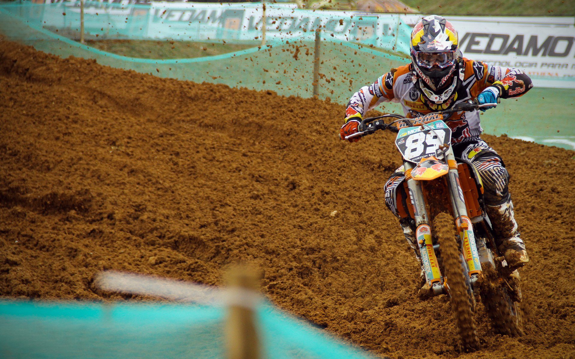 _运动巡游节：沿途赏景、体验多样运动_，游览运动